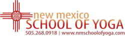 NMSOY_Logo_Full_INFO_Gradient.png